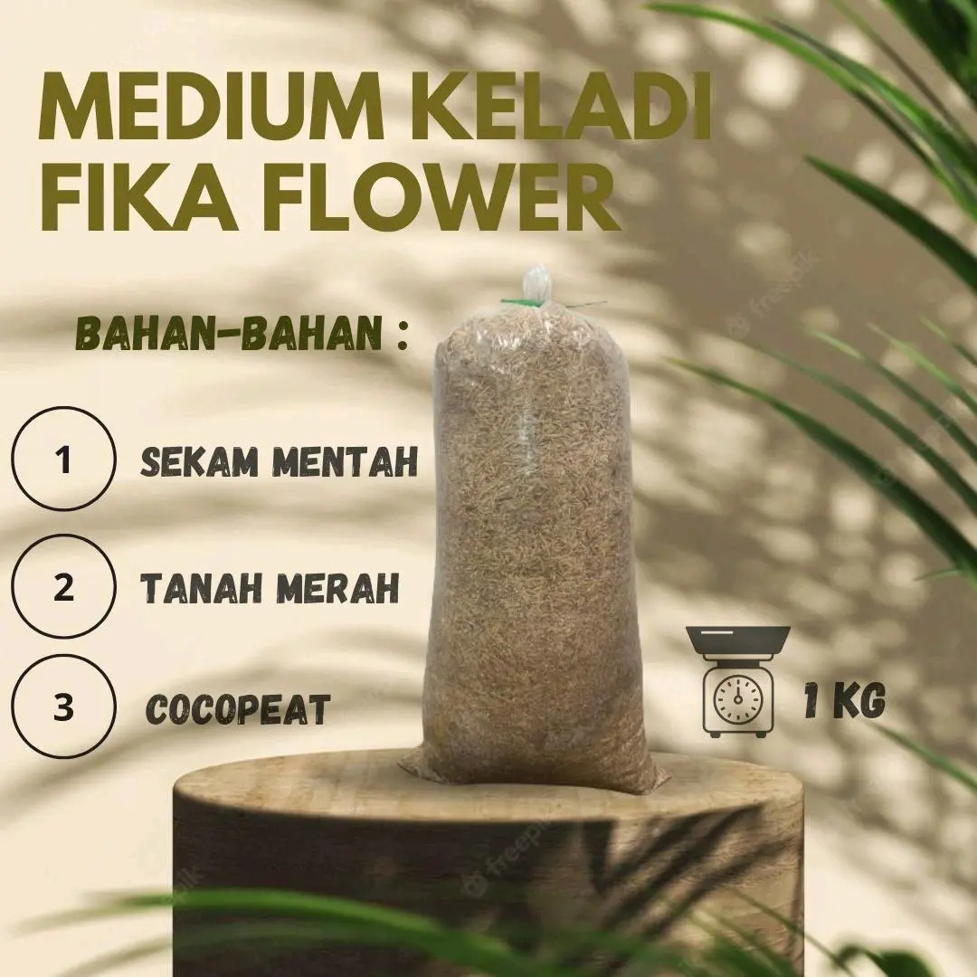 Medium Keladi Fika Flower / Tanah Keladi Fika Flower *cuba pakai pasti menjadi*