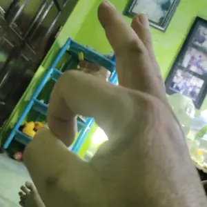 Basking Kura Kura Turtle Island Tempat Berjemur Kura Kura Premium Anti Slip S/M/L/XL