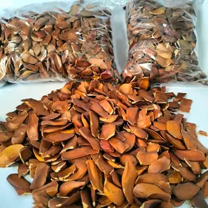 Buah Mahoni Kering Biji Mauni 500gram