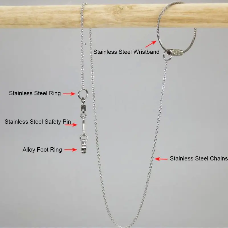 Bird Parrot Foot Chain Stainless Steel Ankle Foot Ring Stand Chain Outdoor Flying Training Starling Pigeon Bird Accessories