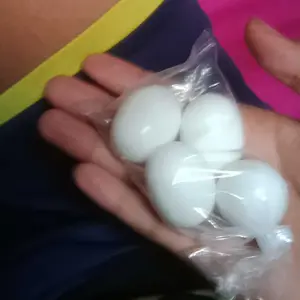 TELUR PALSU BURUNG MERPATI IMITASI TELUR PENGGANTI PENCEGAH STRESS