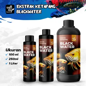 Ekstrak Ketapang Untuk Perawatan Ikan Cupang Channa Arwana dll