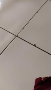 Product Review of Renda Stretch/Karet Hitam Lebar - Harga Permeter atau 100cm - Terbuat Dari Kain Berkualitas Tinggi Elegan from A**a C**a 0