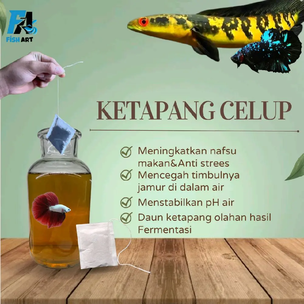 Fish Art • Ketapang Celup Hasil Fermentasi