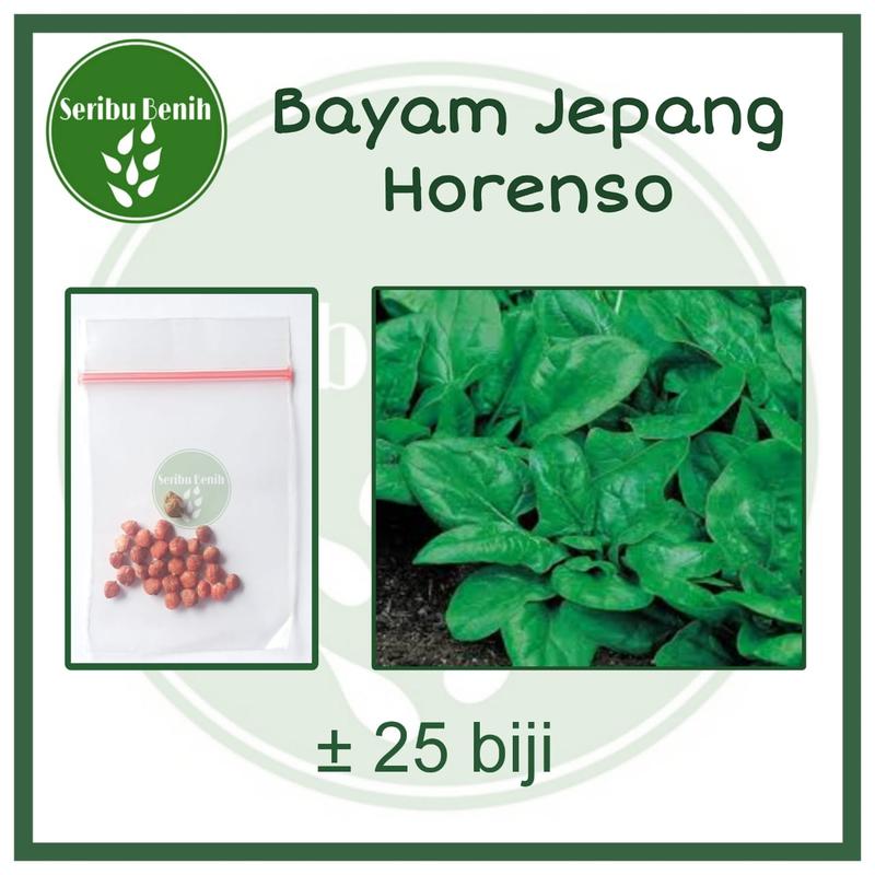 25 Biji Benih Bayam Jepang ALRITE F1 Hibrida Horenzo - Bibit Sayuran Super Horenso Tanaman Sayur Repack [ SERIBU ] 0