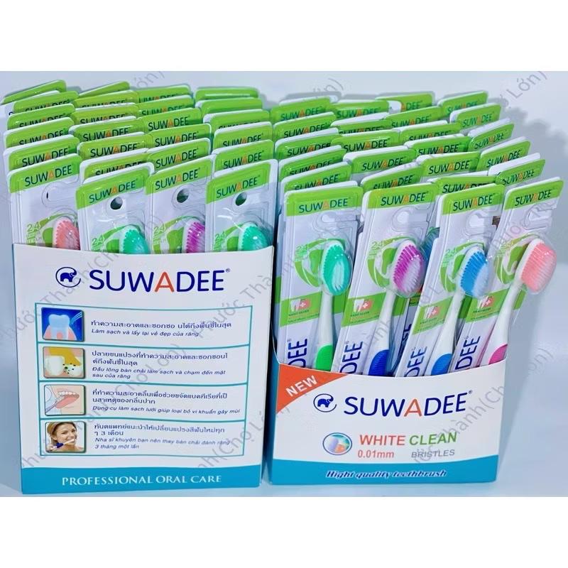 Product Introduction of Combo 10 cây Bàn chải giấy Suwadee đủ màu ( tặng 2 bàn chải bé) 2
