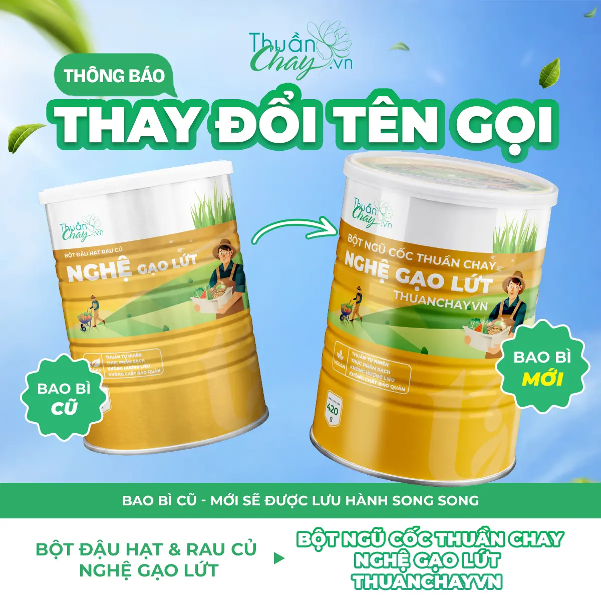 NGHỆ GẠO LỨT- Bột Ngũ Cốc Thuần Chay 420g
