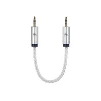 Gambar iFi 4.4mm to 4.4mm Cable Series Balanced Male to Male Connector dari ST-Toms.co Kota Administrasi Jakarta Utara 3 Tokopedia