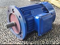 Gambar MAXPUMP Dinamo Electro Motor 3kw-4B5 Khusus Pompa Lumpur 4HP 3 Phase 4 Pole 1450RPM 380Volt Kualitas Terbaik dari Poseidonpump Kota Administrasi Jakarta Utara 1 Tokopedia