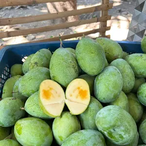 1/2 kg-1 kg mangga manalagi (arum) mentah tua