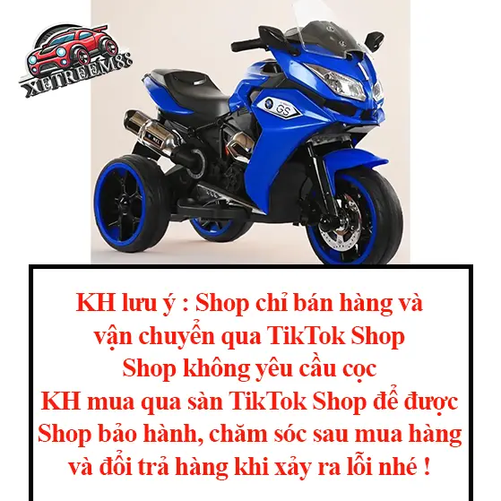 Xe máy mô tô điện có chân ga Nel1200 2 động cơ tải trọng 50KG xemay  dien 1