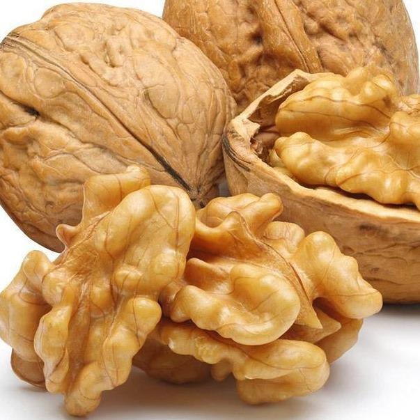   LÁ NGỌC  Quả Óc Chó Vàng bổ sung nhiều dưỡng chất tốt cho sức khỏe 