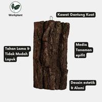 Gambar Workplant - Papan Kulit Pinus Untuk Anggrek Tempel Tanaman Epifit & Hiasan Dinding - Kecil dari workplant official Kota Surabaya 3 Tokopedia