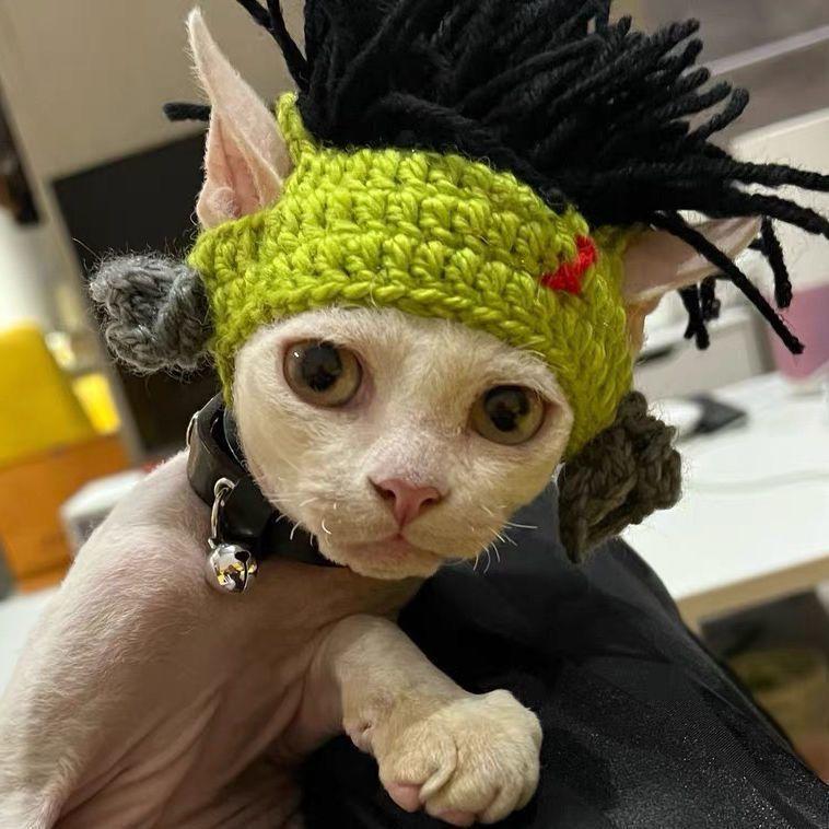 Mũ Mèo, Phong Cách Punk, Thiết Kế Vui Nhộn Không Lông, Thích Hợp Cho Mèo Sphynx, Kẹp Tóc Mũ Đội Đầu Cho Chó, Trang Phục Rock Vui Nhộn Dễ Thương 6