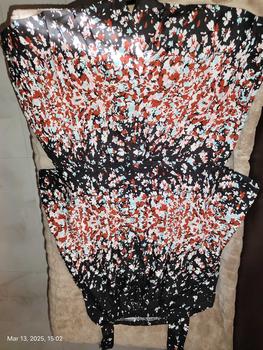 Product Review of AVA TERNO PAMBAHAY CHALLIS FABRIC | M-2XL from C**e 3