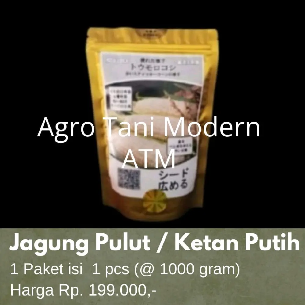 Benih Jagung Jepang Pulut / Ketan Putih (isi 1000 gram)