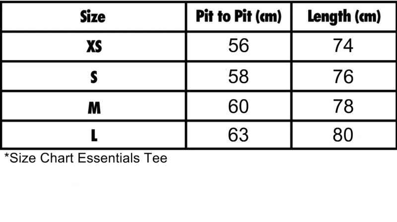 Product Introduction of SS22 FOG Essentials Tee LIGHT OATMEAL velvet embossed 0