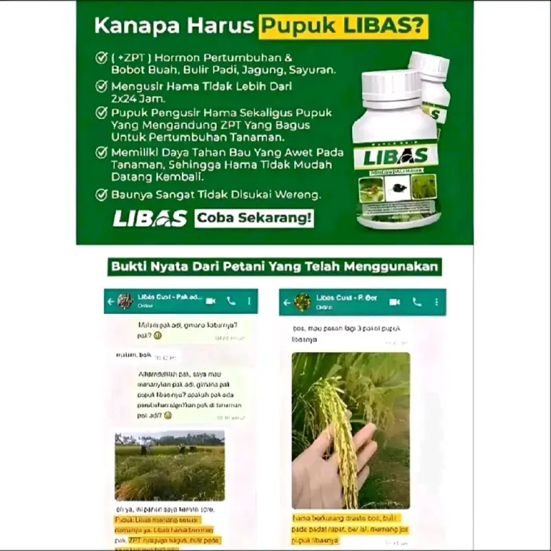(PAKET 4 BOTOL) Pupuk libas - pupuk Obat Zpt solusi membasmi hama wereng, hama tikus, walang sangit, dan sejenisnya bakteri pada semua tanaman dan Tumbuhan 3