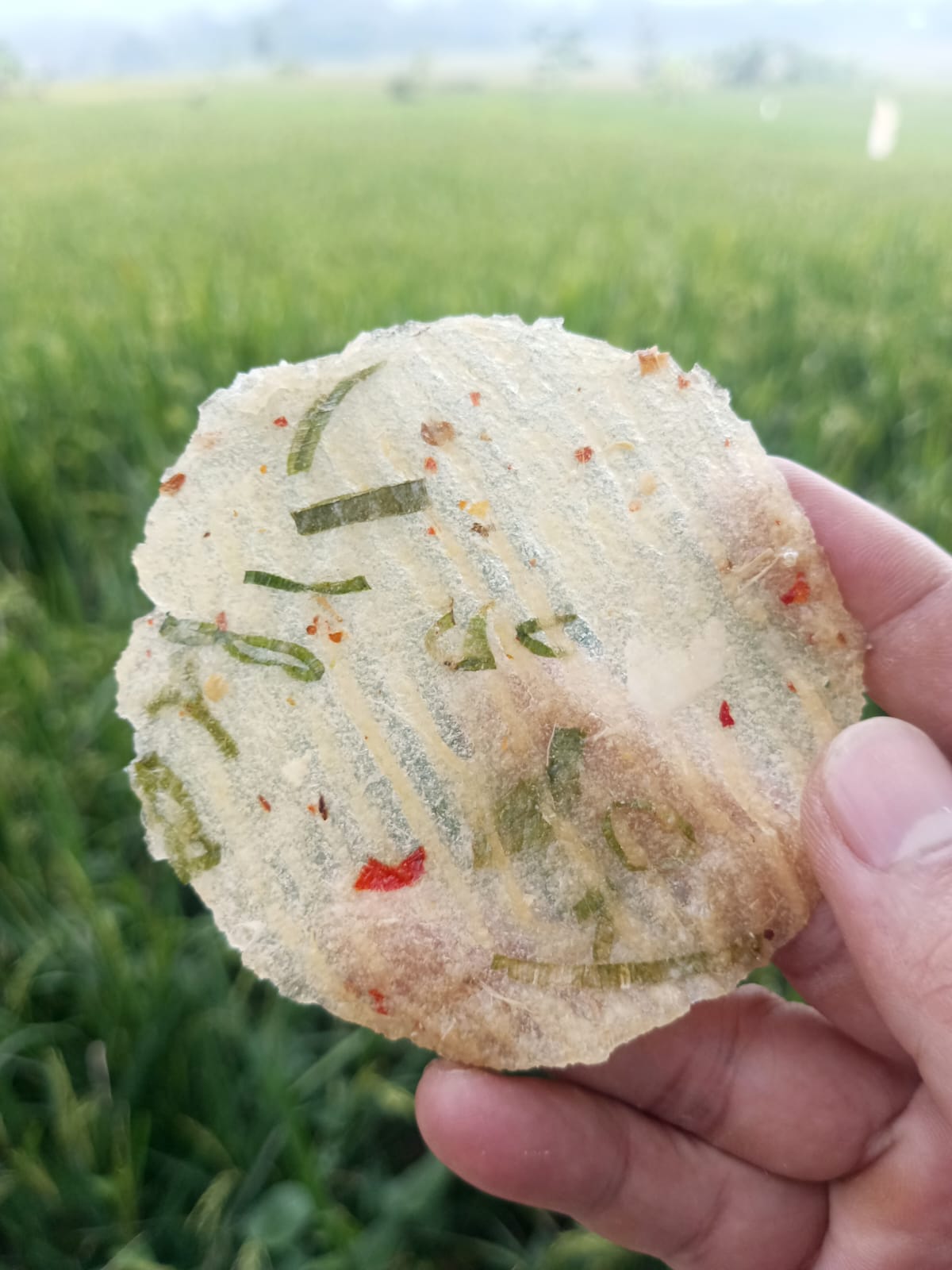 Kicimpring Singkong Mentah Bawang Cabai Gurih dan Renyah Camilan Kering Cemilan Kerupuk Snacks Makanan Keripik Pedas Food Kripik Opak Singkong Manis Asin enak