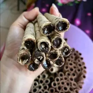 ASTOR ROLLA KILOAN LUMEEER