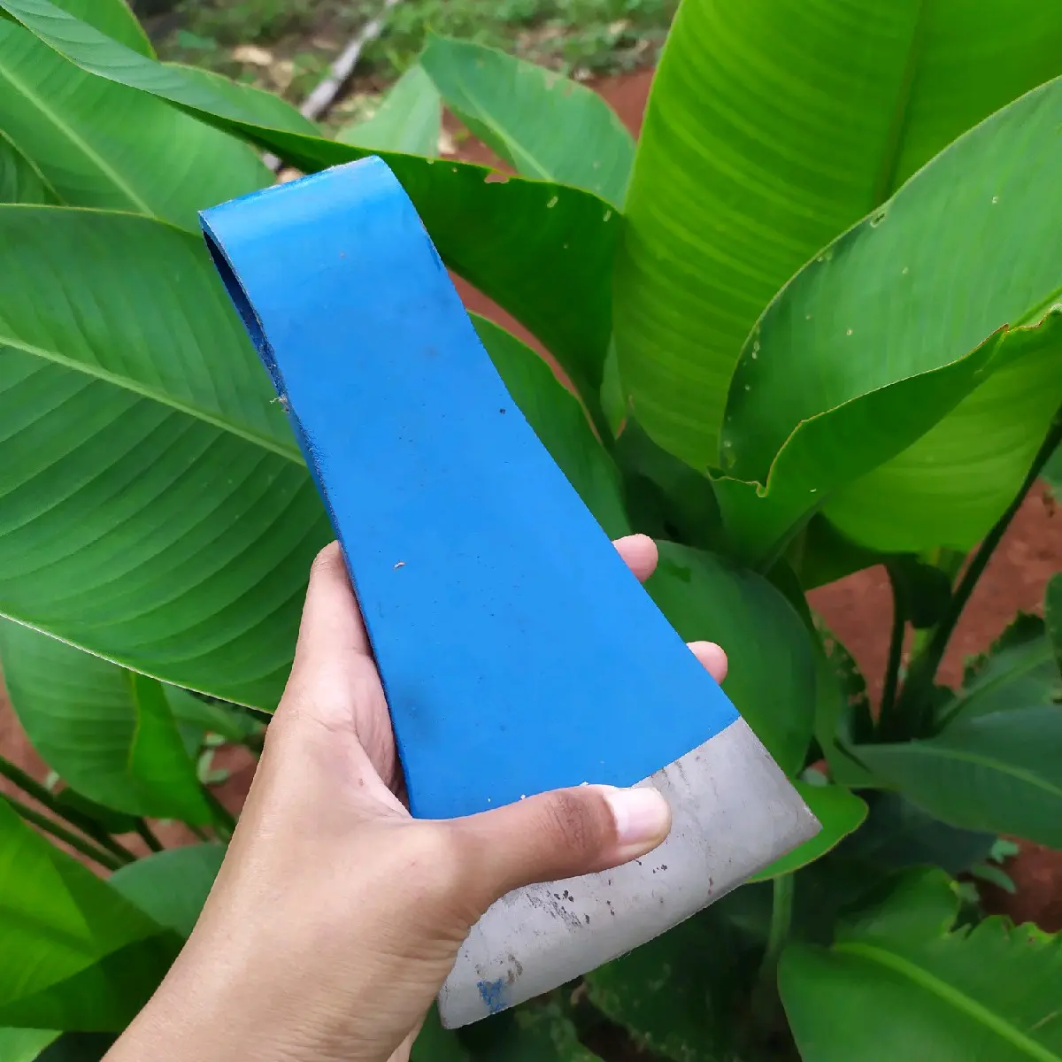 Kapak Pemotong / Kapak Cap Mata/ GRATISS Benih Kangkung / Bilah Kayu Bahan Baja Asli Tajam / Alat untuk Tukang Kayu / Alat Berkebun / Kapak Cap Mata
