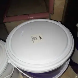 Cat Tembok AILI Paint Premium Interior 5KG Ketahanan Maksimal Anti Luntur