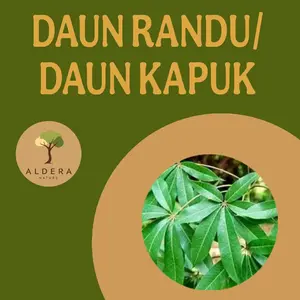 Daun kapuk / Daun randu fresh netto (250gr)
