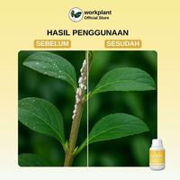 Gambar Workplant - Neem Oil Refill Pestisida Nabati Pembasmi Hama Dan Jamur Semua Jenis Tanaman Hias dari workplant official Kota Surabaya 5 Tokopedia