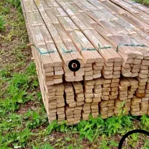 ajir bambu petung kotak tebal ukuran 4x2meter bahan layangan