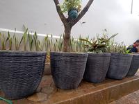 Gambar Pot Gentong besar motif minimalis / pot semen / pot gentong batu dari Abi Flora Kota Tangerang 4 Tokopedia