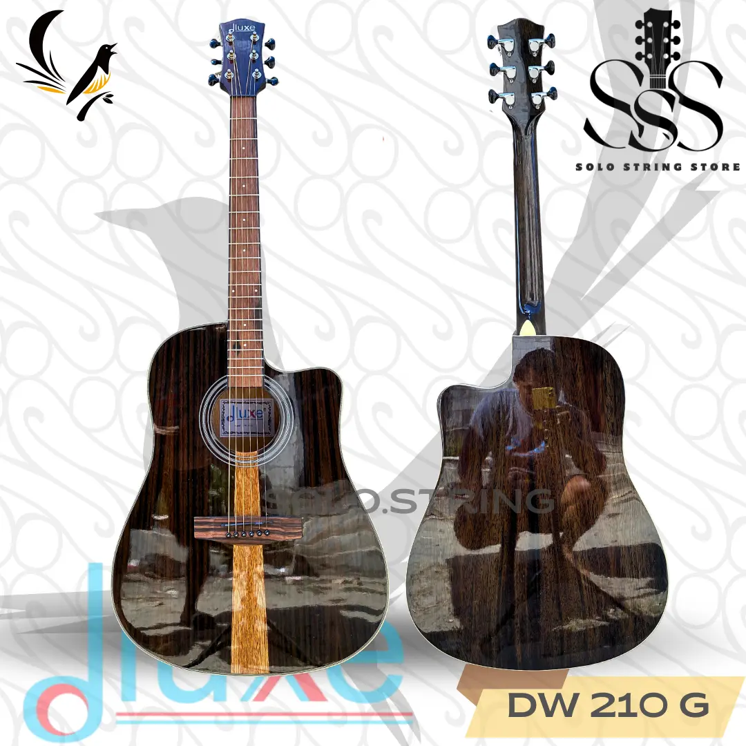 Gitar DLUXE Seri DW 210 G Original Pabrik Gloossy