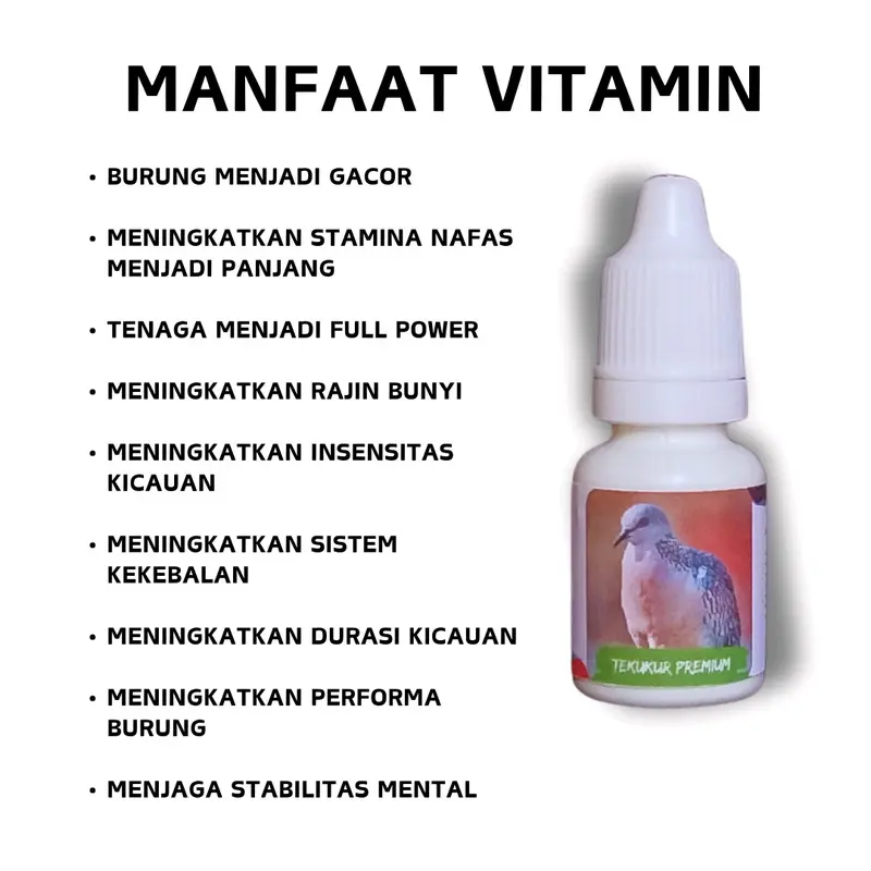 Vitamin Burung Derkuku Tekukur Gacor 1