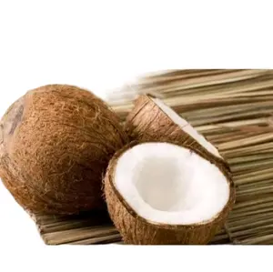 Kelapa tua untuk santan grade A kualitas super