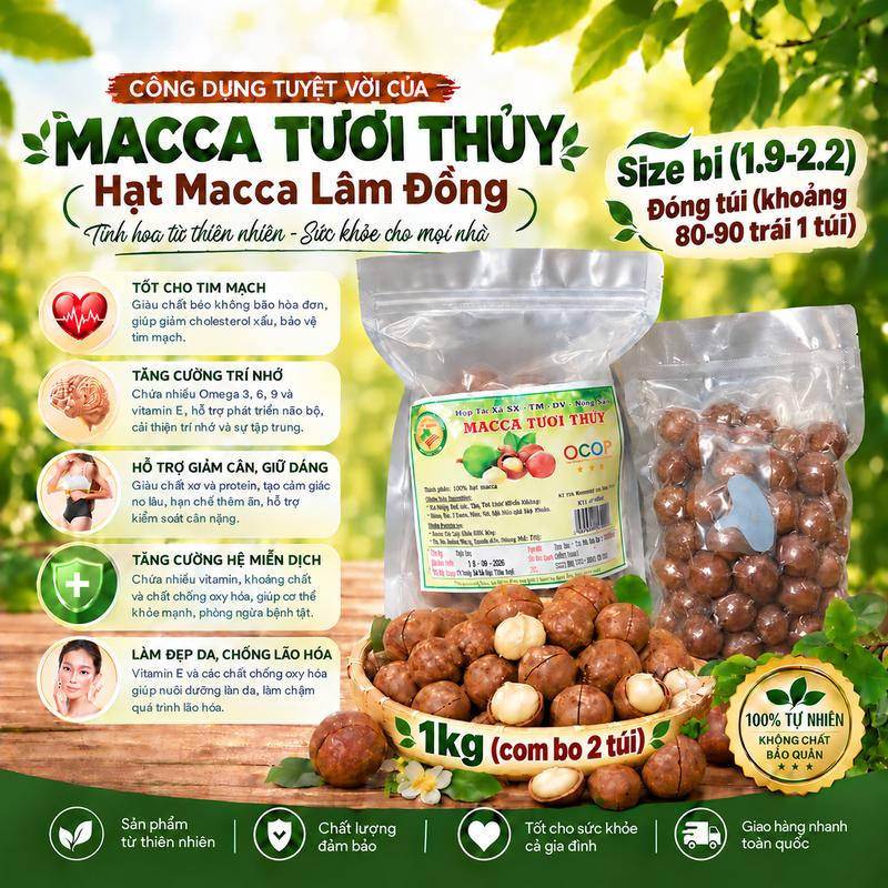 1kg Hạt Macca Lâm Đồng Size Bi (1.9-2.2) có kèm dụng cụ tách - sấy chín nguyên vị - không chất bảo quản- Hạt dinh dưỡng