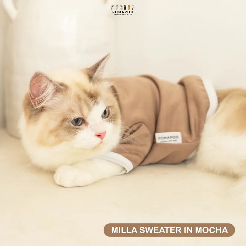 POMAPOO - Sweater Kucing dan Sweater Anjing Milla Sweater 6