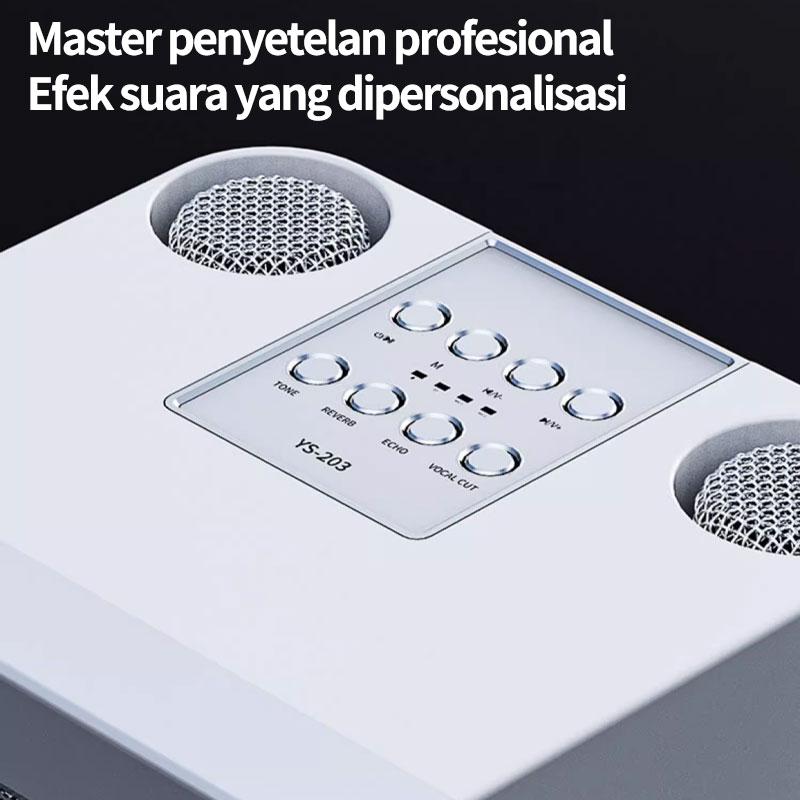 「DayaHidup」Speaker Bluetooth Karaoke 2 MIC Wireless Microphone Bluetooth Speaker Portable Stereo Outdoor Family Party KTV Equipment Bass sound rumahan