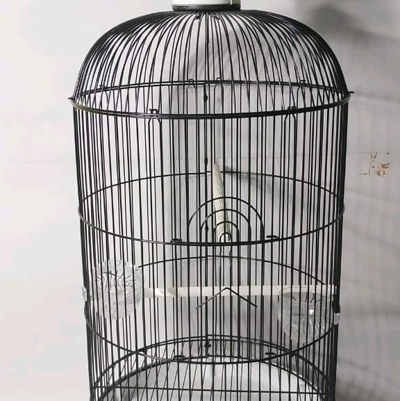 sangkar levebird oriq jaya vpc poloss bahan tebel ukuran lebar 33x33cm pengiriman seruruh indonesia 0