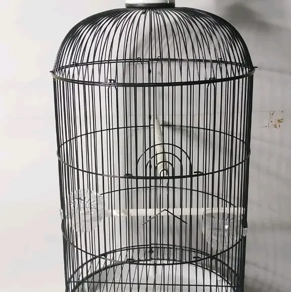 sangkar levebird oriq jaya vpc poloss bahan tebel ukuran lebar 33x33cm pengiriman seruruh indonesia 0