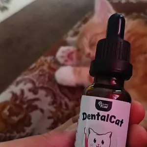 Golden Paw - DentalCat Obat Tetes Mulut Kucing Sariawan Radang Bau Mulut dan Pembersih Plak Karang Gigi Hewan 20ml