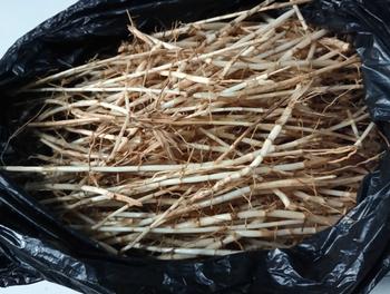 Product Review of Akar Alang Alang Segar Isi Per 500 Gram from Y**i P**a 0