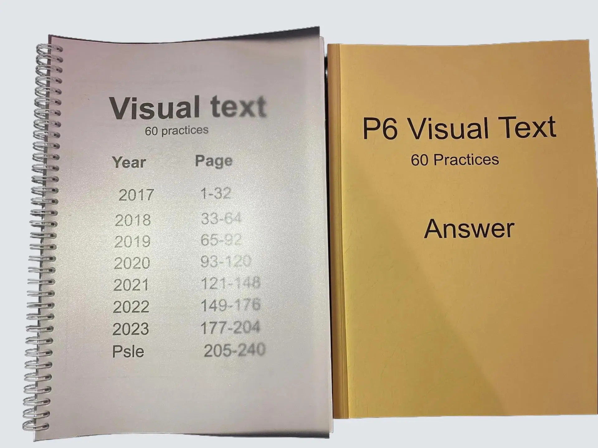 P6 Visual Text Practice Paper