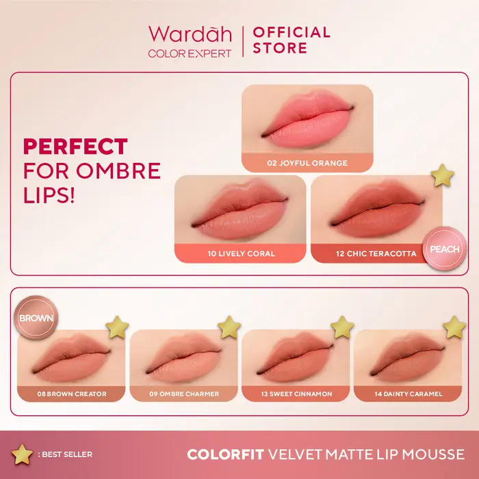 WARDAH COLORFIT VELVET MATTE LIP MOUSSE - Lip Cream Tahan Lama Tahan Air - Hasil Matte Tidak Lengket 1