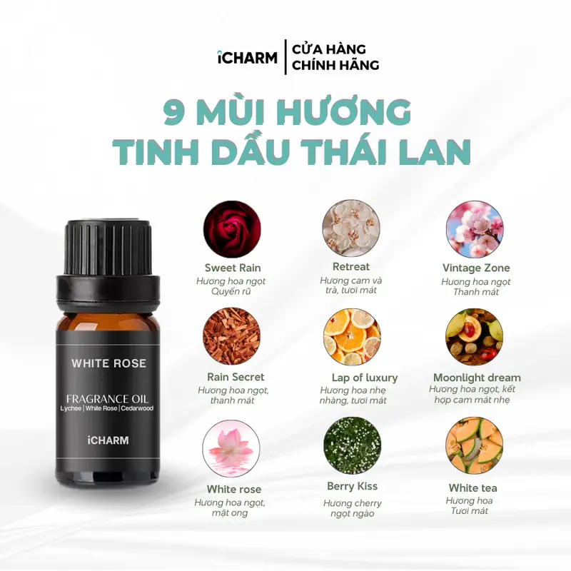 Tinh Dầu Thái Lan 10ml | Tinh Dầu Nước Hoa | Tinh Dầu Thơm Phòng | Hương Sang Chảnh 3