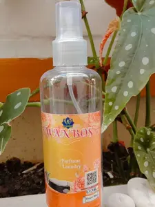 WANBOS PARFUM LOUNDRI UKURAN 250ML KUALITAS BAGUS TAHAN LAMA HARGA EKONOMIS UKURANBY WANBOS