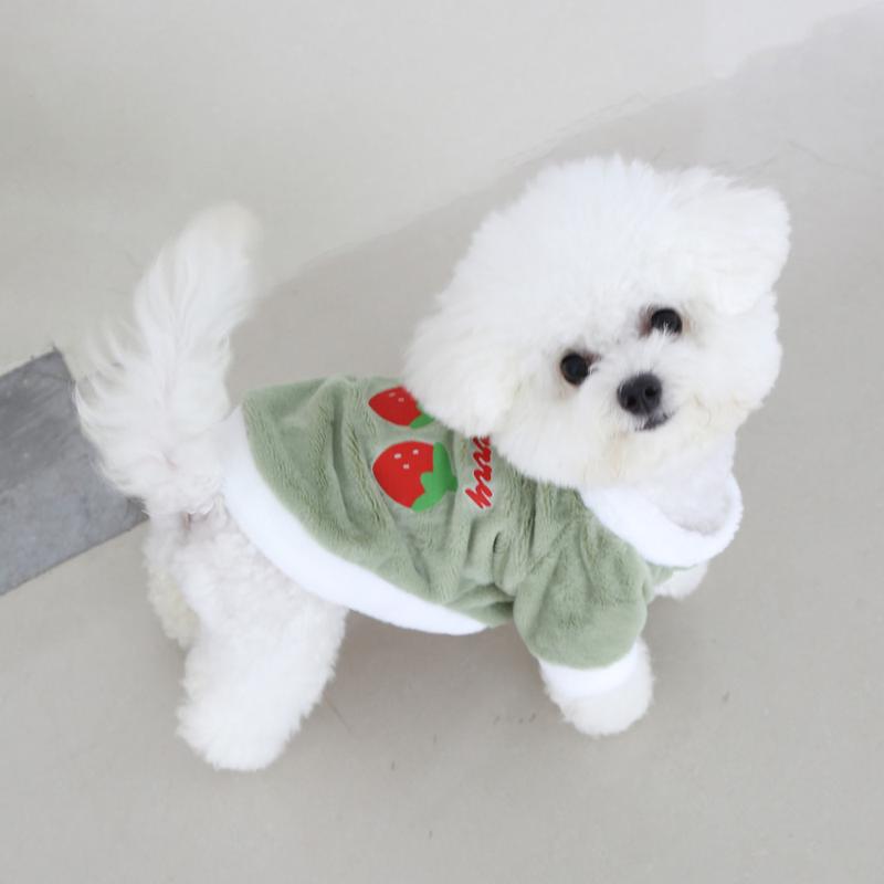Product Introduction of Autumn Winter Original Plush Pet Carrot Cartoon Cute Clothes Jade Rabbit Velvet Cold-Proof Warm Super Cute Plush Clothes 19