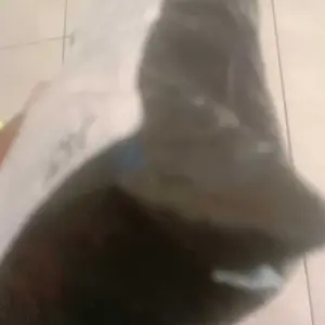 Sikat Sepatu Multifungsi Dengan Lubang Detergen Bulu Lembut