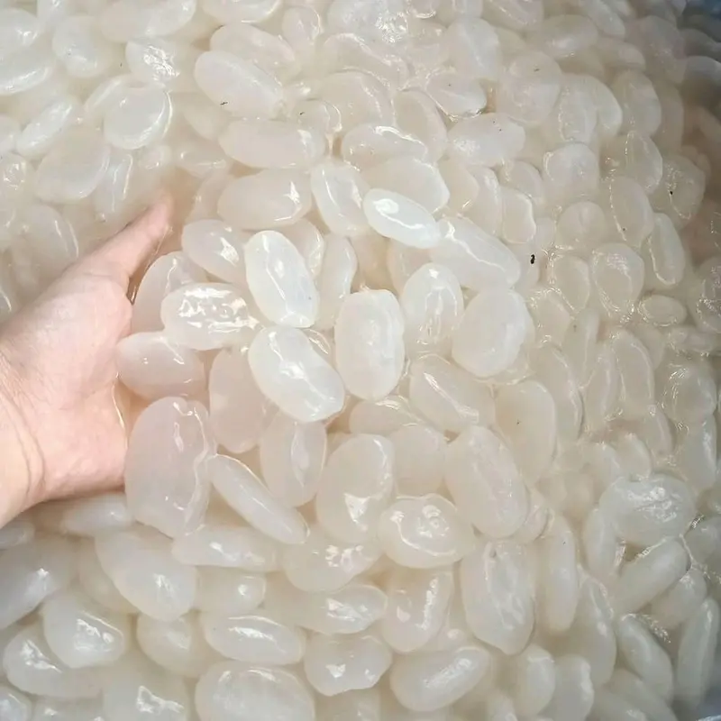 Kolang Kaling Mentah segar 1kg Alami Organik Makanan Buah Zuriat 2