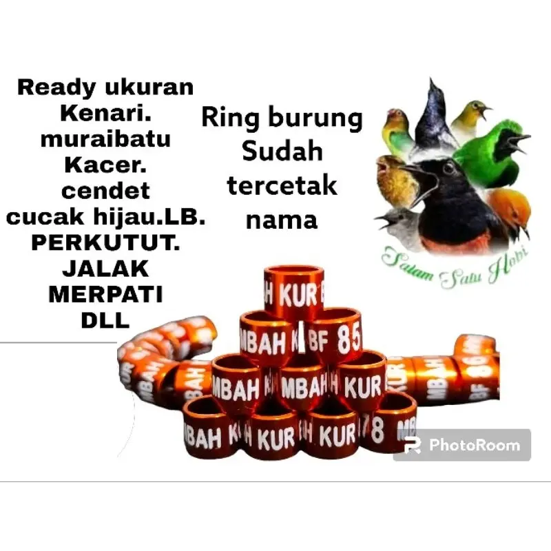 RING BURUNG GELANG KAKI BURUNG TIDAK BISA PESAN NAMA BENTUK LASER DONAT PENANDA BURUNG PLECI KENARI KONIN CUCAK HIJAU KACER PERKUTUT MURAI MERPATI