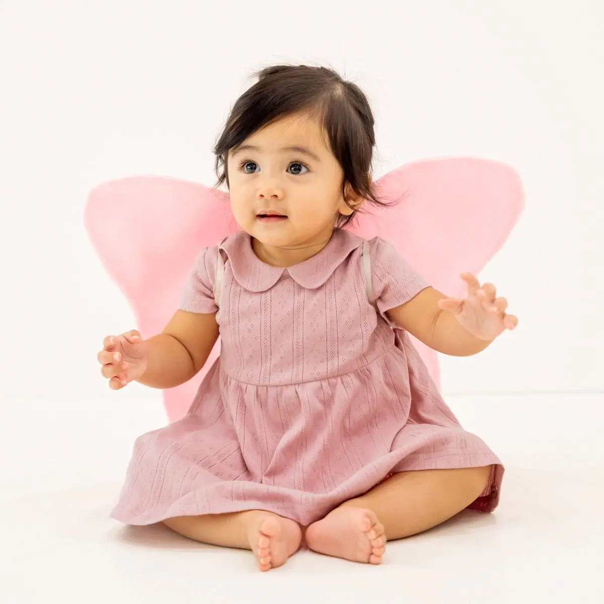 Baby Girl Dress in Pointelle Cotton (Plum/Pink/White)
