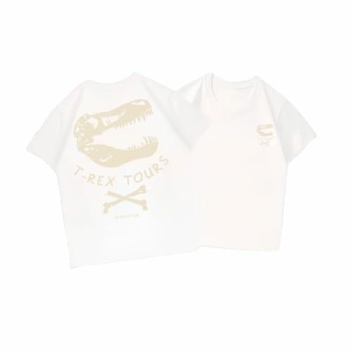 Baju Kaos Distro Anak Umur 3-12 Tahun Motif T-REX Bahan Catton Combed 24s Premium -A20 4